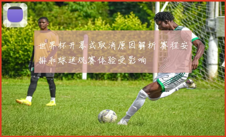 世界杯开幕式取消原因解析 赛程安排和球迷观赛体验受影响