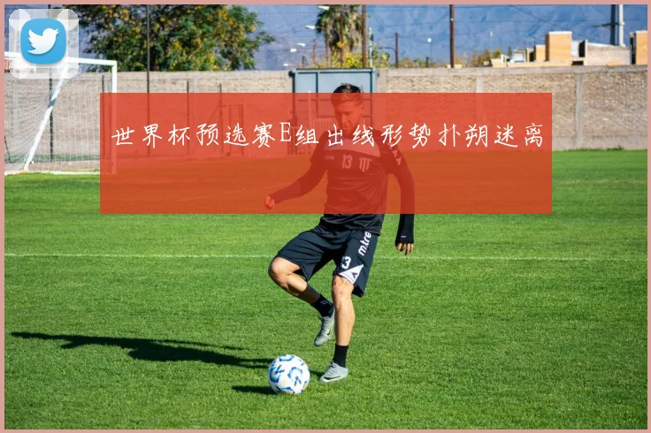 世界杯预选赛E组出线形势扑朔迷离