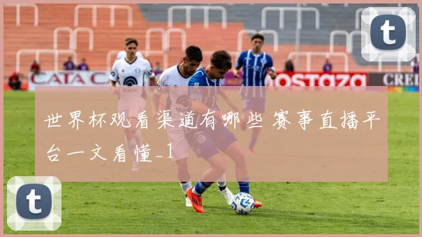 世界杯观看渠道有哪些 赛事直播平台一文看懂_1
